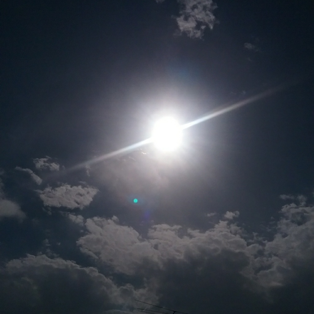 Meet your Posher, Fred